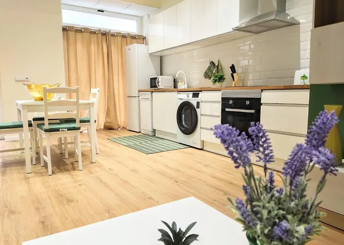 Apartamento En Valencia Centro